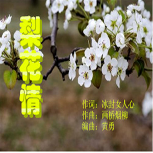 梨花情