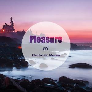 Pleasure (Original Mix)