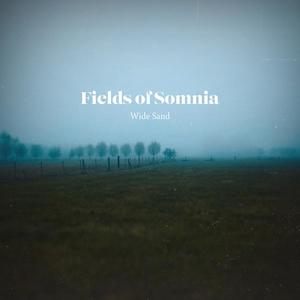 Fields of Somnia