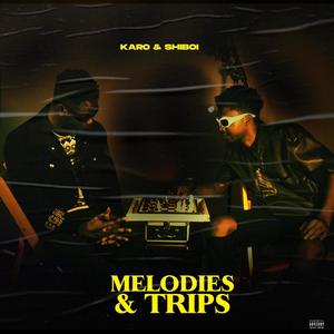 MELODIES & TRIPS (Explicit)