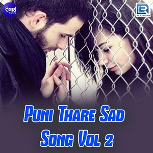 Puni Thare Sad Song, Vol. 2