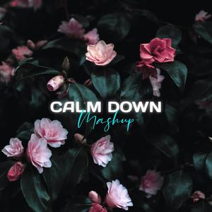 Calm Down Mashup