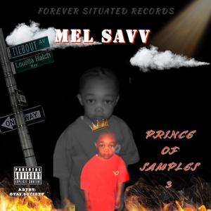 Prince Of Samples 3: Situated Since Birth EP (Explicit)