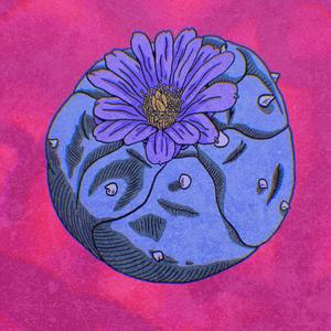 Native Joe(feat. Demetrius) (Explicit)