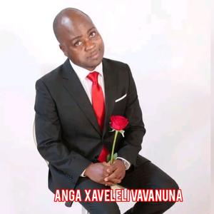ANGA XAVELELI VAVANUNA LOYI (feat. DR NHANHA/XIMUTWANI/SGODAS)