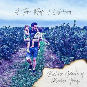 better parts of broken things