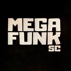 MEGA FUNK BEBE TA SOLTA (DJ FOP)