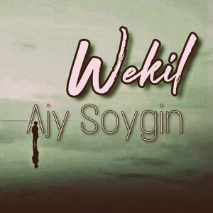 Ajy Soygin