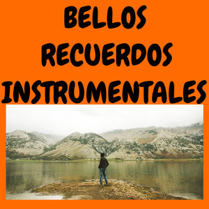 Bellos Recuerdos Instrumentales