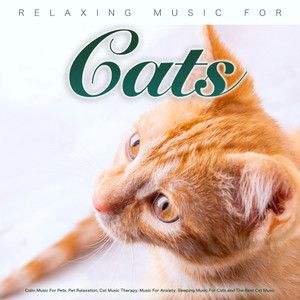 Relaxing Music For Cats: Calm Music For Pets, Pet Relaxation, Cat Music Therapy, Music For Anxiety, Sleeping Music For Cats and The Best Cat Music