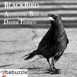 Blackbird