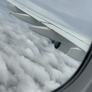 100101 (Feat. Nvrlvnd, Wedd)