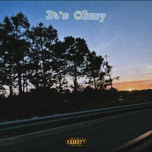 It's Okay (Explicit)