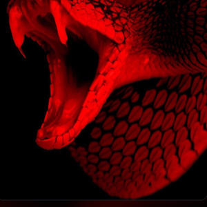 Find My Way (feat. Jbug) (Explicit)