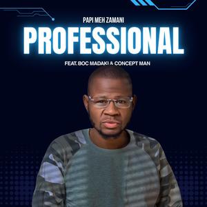 Professional (feat. B O C Madaki & Concept Man)