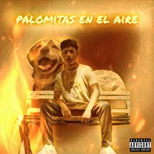 Palomitas en el aire