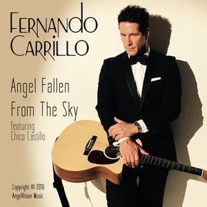 Ángel Fallen from the Sky