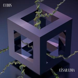 Cubo