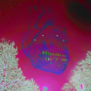 suicide legend (feat. Lil Juniper & Laddurr)