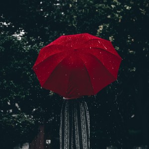 Good Morning Nature: Peaceful Heavy Rain