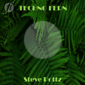 Techno Fern (Original Mix)