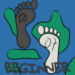 Beginner