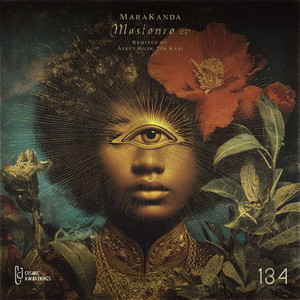 Mastonro (Aykut Bilir Remix)