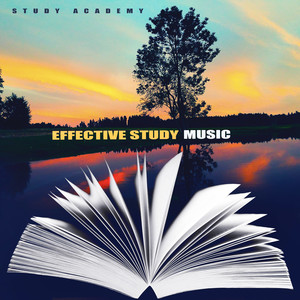 Study Academy - Natural Mystery