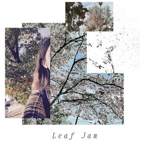 Leaf Jam