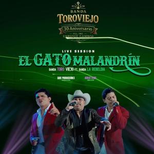 El Gato Malandrín (feat. La Rebeldía De la Torre)