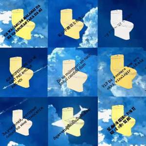 珠峰上的镀金马桶