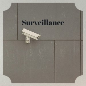 Surveillance