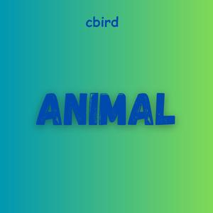 CBird - Animal