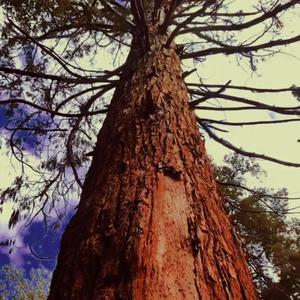 Lealtad (feat. Delasexta)