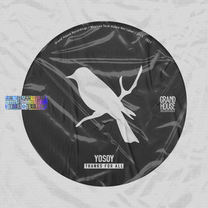 I Just Wanna (Y.O.S.O.Y. Remix)