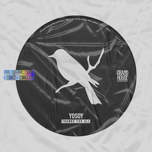 I Just Wanna (Y.O.S.O.Y. Remix)