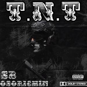 TNT ( Tact Not Tacky ) [Explicit]