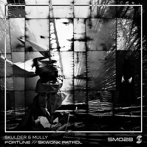 Skwonk Patrol (Original Mix)