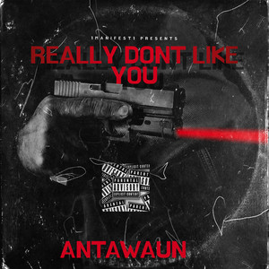 Really Don't Like You (Explicit)