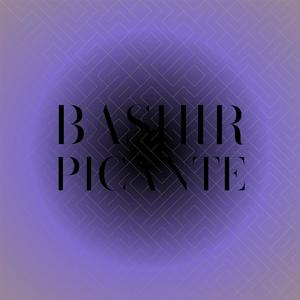 Bashir Picante