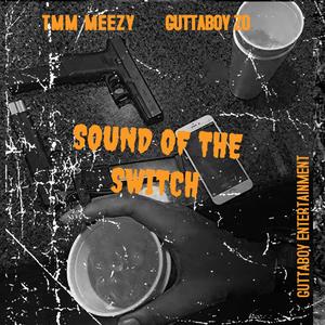 SOUND OF THE SWITCH (feat. Guttaboy Zo) [Explicit]