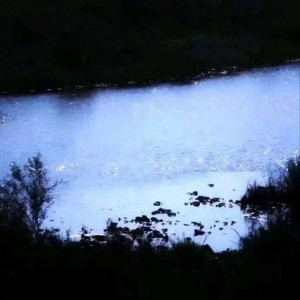 Money Loves Me（高能量专属）-DreamLove