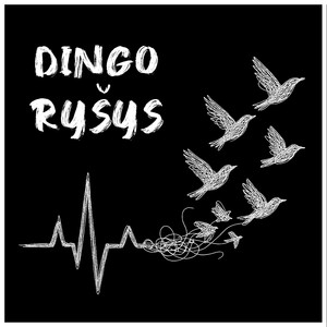 Dingo Rysys