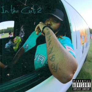 In The Cut 2 (Explicit)