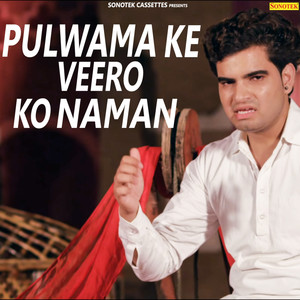 Pulwama Ke Veero Ko Naman - Single