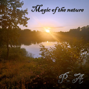 Magic of the forest lake