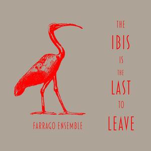 The Ibis Is the Last to Leave