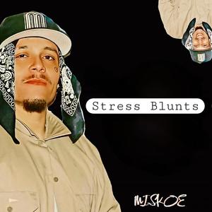 Stress Blunts (Explicit)