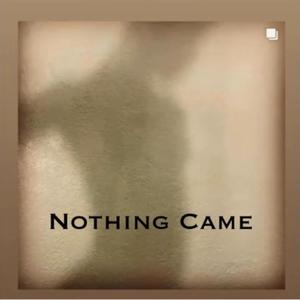 Nothing Came