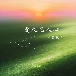 小小音乐插班生 - 爱久见人心 (撕裂版)